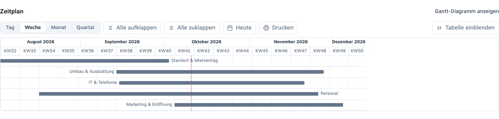 Schedule in the management overview: the areas of a project as Gantt bars across calendar weeks, with a marker for today