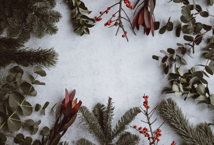 1Tool Jahresrückblick & Weihnachtsgrüße