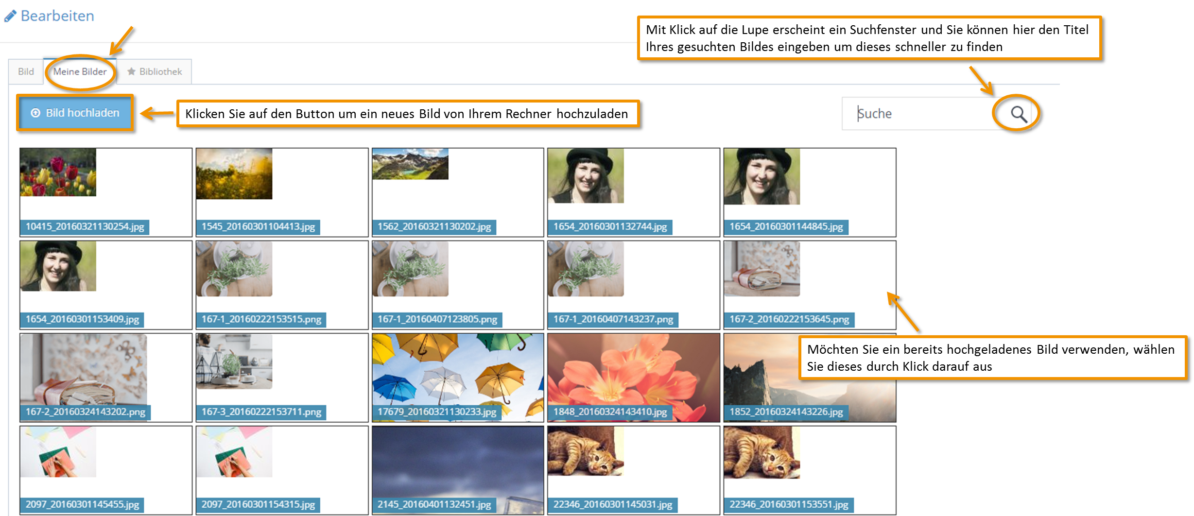Meine Bilder
